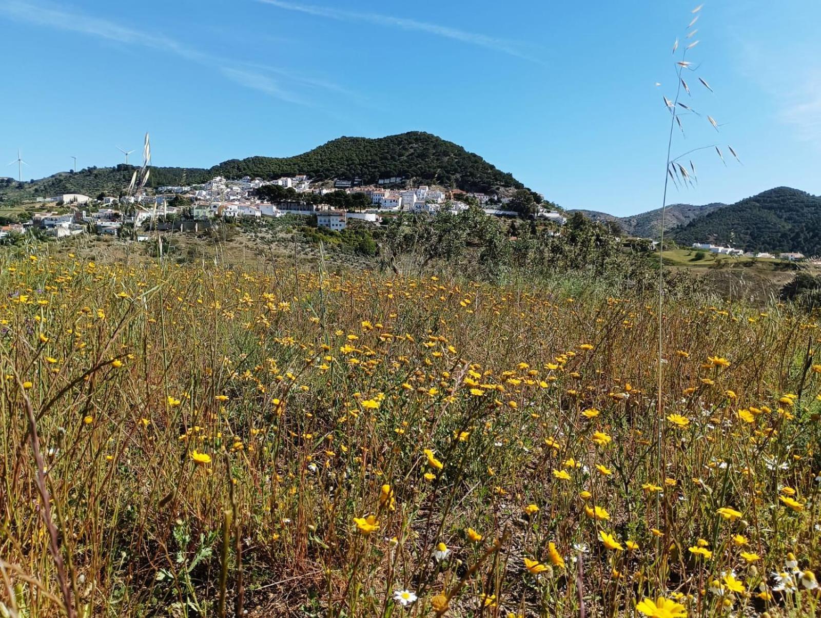 Complejo Rural Los Alcornoquillos Carratraca Εξωτερικό φωτογραφία